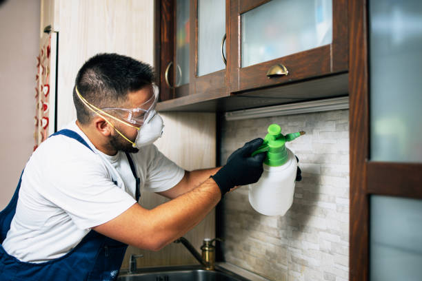 Best Affordable Pest Control Services  in Millbourne, PA