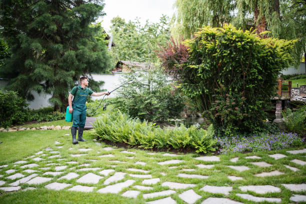 Best Local Pest Control Services  in Millbourne, PA