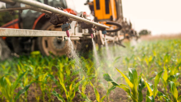 Best Pest Control for Homes  in Millbourne, PA